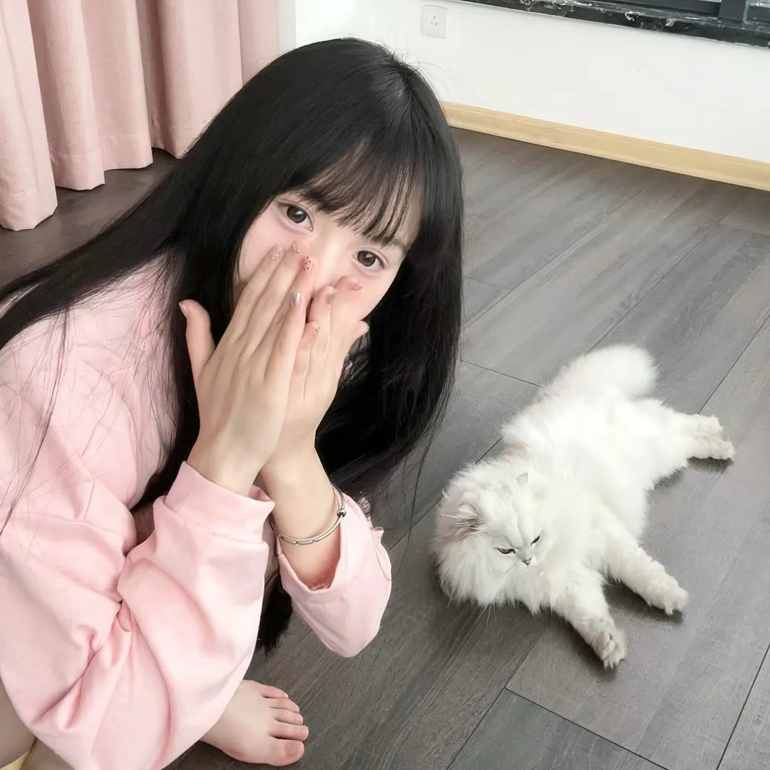 霍利奥克11:55 在线观看